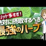 【論文解説】「メリット多すぎ！絶対に摂取するべき最強のハーブ」を世界一分かりやすく要約してみた（動画）