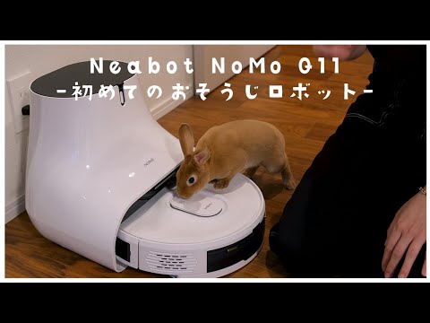 【コスパ最強!】早く導入すればよかった…と後悔するくらい良かったロボット掃除機!!【Neabot NoMo Q11】（動画）