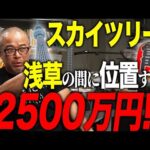 スカイツリーと浅草寺近くの物件が格安で買える！？（動画）