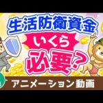 【再放送】生活防衛資金はいくら貯めれば良いか？【お金の勉強 初級編】：（アニメ動画）第419回（動画）
