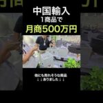 中国輸入でドリーム掴めそうな商品見つけました #shorts（動画）