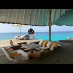 【学長ライブ】モルディブから10分だけライブ配信（動画）