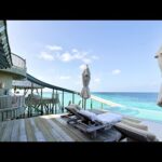 【実写】モルディブの朝から10分配信（動画）