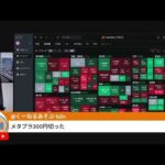 NYダウ800ドル下落！IT株に暗号資産、クレカ株も暴落！VIX指数急上昇でおはギャー！（動画）