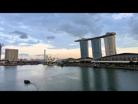 【実写】シンガポールの夜 ライブ配信。もうすぐ日本帰るよ〜！（動画）