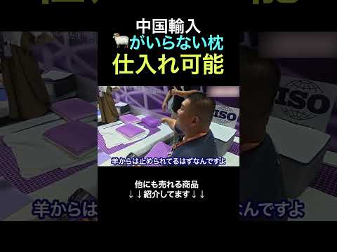 日本で有名なあの枕が中国輸入で仕入れ可能 #shorts（動画）