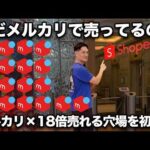 年間20兆円売れるShopee(メルカリ18倍）でノーリスク大儲けする秘訣を公開します（動画）