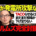 本当のブラックマンデー（暴落）が来るまでトランプはTACOらない。発電所への攻撃警告でホルムズ海峡はどうなる！？（動画）