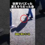 【感動】優しさがつないだ奇跡の物語！（動画）