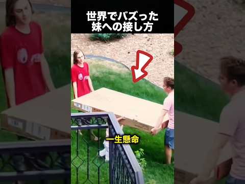この兄弟、妹への接し方が素敵すぎる！（動画）