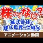 株ってなに？~株式会社と株式投資の仕組み~【お金の勉強 初級編】：（アニメ動画）第519回（動画）