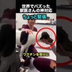 犬にバレなかった！？ワクチン接種の優しい工夫！（動画）