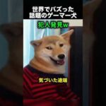ゲーム中に電源を切られた犬、まさかの反応に爆笑！（動画）