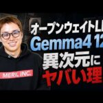 Google発LLM「Gemma4 12B」がすごすぎないか？ / これがオープンウェイトの衝撃 / 12Bで画像も音声も動画もいけるだと！！？？（動画）