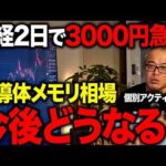 日経平均が2日で3,000円急落！半導体バブルはついに終了か！？まだ続くのか？語ってみました。（動画）