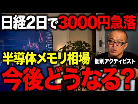 日経平均が2日で3,000円急落！半導体バブルはついに終了か！？まだ続くのか？語ってみました。（動画）
