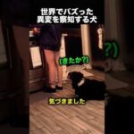 飼い主が危険な状態に…愛犬の行動が凄すぎた！（動画）