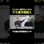 40代・50代が1年で億を狙えるデカ重中国輸入とは？ #副業 #初心者 #中国輸入（動画）