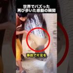 バランスを崩し苦しむゾウ。飼い主の諦めない愛が奇跡を起こす！（動画）