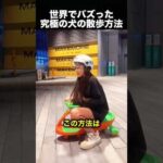 究極の犬の散歩方法！でも犬種を変えたら大失敗！🤣（動画）