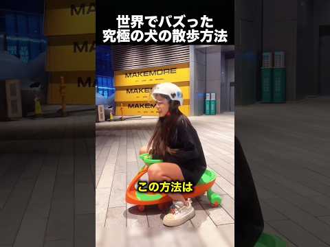究極の犬の散歩方法！でも犬種を変えたら大失敗！🤣（動画）