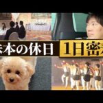 【Vlog】平日ストレスフルな経営者の癒やされる休日（動画）
