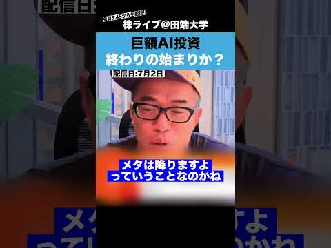 巨額AI投資競争、終わりの始まりか？（動画）