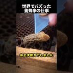 養蜂家が女王バチの巣房を切る理由！（動画）