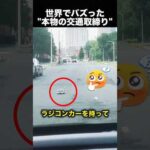 ラジコンカーが警察に止められた！？まさかの神対応に爆笑！（動画）