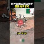 世界の消火栓を比べてみたら…国によってこんなに違った！（動画）