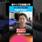 ティラド（7236）今後どうなる？（動画）