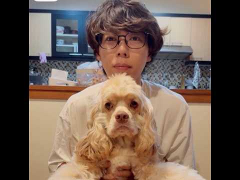 瞑想ライブ：毎日17時から30分【終了後に質疑応答／瞑想しよう】（動画）