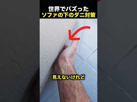 ソファの下を顕微鏡で見た結果…衝撃の光景が待っていた！（動画）