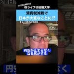 消費税減税で、日本が大変なことになるかもしれません。。。（動画）