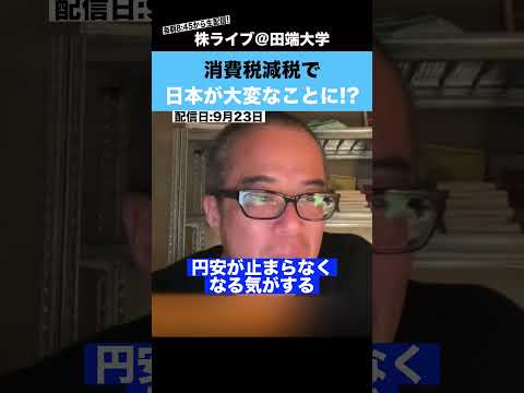 消費税減税で、日本が大変なことになるかもしれません。。。（動画）