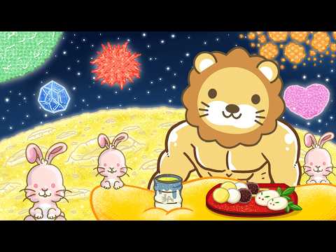 今日の学長ライブ l 【まさか貯金増やしてないよね？】家計に変化。株式・投信へお金がシフト/返金率74%/リベの美容皮膚科行ってきた/学長が最近色々とお金使ってみて感じること【9/25 8:30まで】（動画）