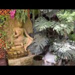 瞑想のQAページを作りました🧘 本日は質疑応答なし。思いついたら雑談あり。（動画）