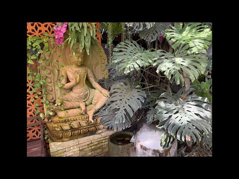 瞑想のQAページを作りました🧘 本日は質疑応答なし。思いついたら雑談あり。（動画）