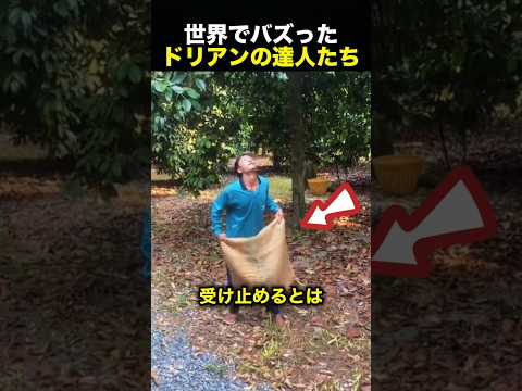 高い木からドリアンを落とす男性→その収穫方法に驚愕！（動画）